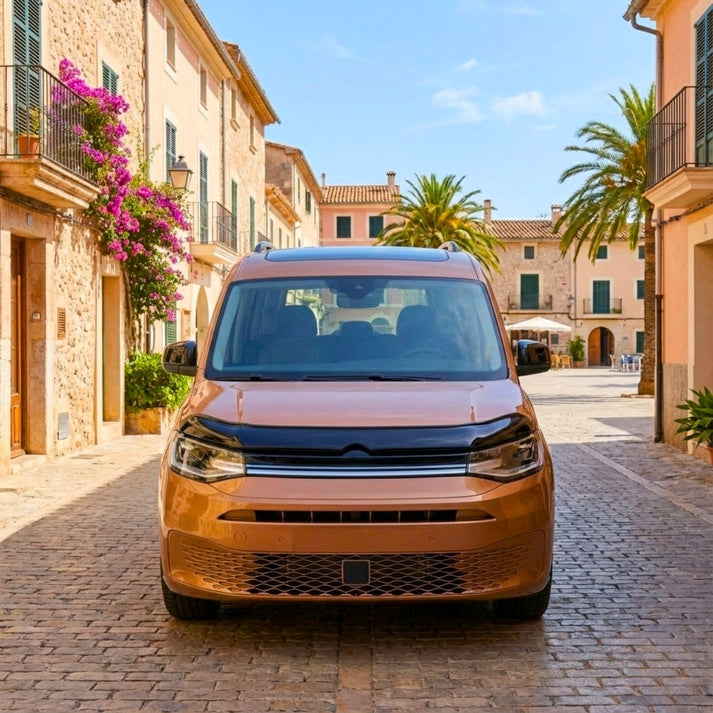 VW Caddy View
